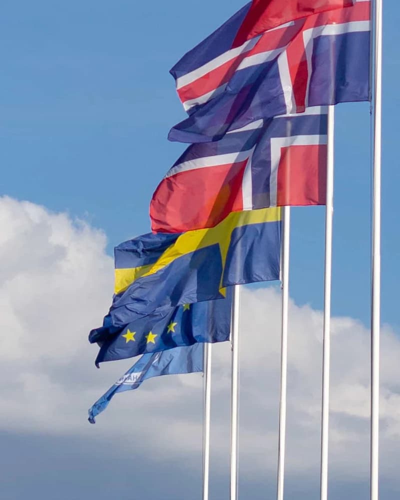 Swedish flag flying beside the European flag in a row of Nordic flags against a blue sky
