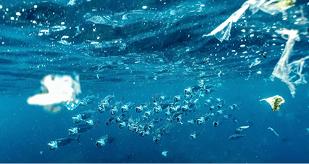 Better Flags | CiClO Flags | Underwater view of a school of fish swimming among floating plastic debris.